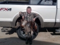 Pheasant Hunting in GA