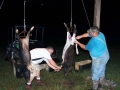 Cleaning Hogs that were caught