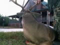 succesful-deer-hunting