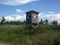deer-stand-field-georgia