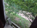 great-gumlog-deer-stand
