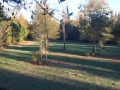 hunting-stands-2093