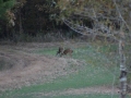 hunting-stands-2122