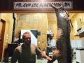 Wild Hog