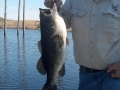 IMG_20140331_153452_170