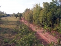Beautiful View - Food Plots