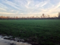 Food Plots at Gum Log