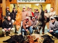 Lots o Hogs
