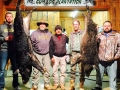 Large Hogs