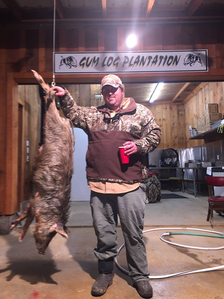 Hog Gum Log Plantation