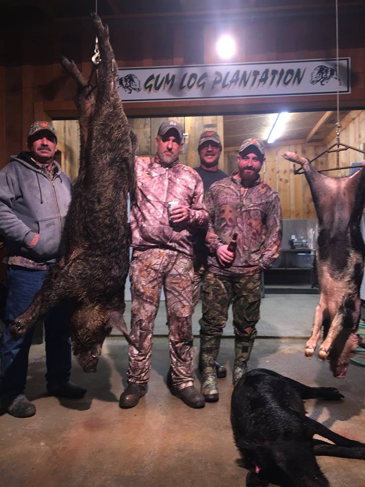 Gmedia Posts | Georgia Hog Hunting and Outdoor Retreats in Abbeville, GA