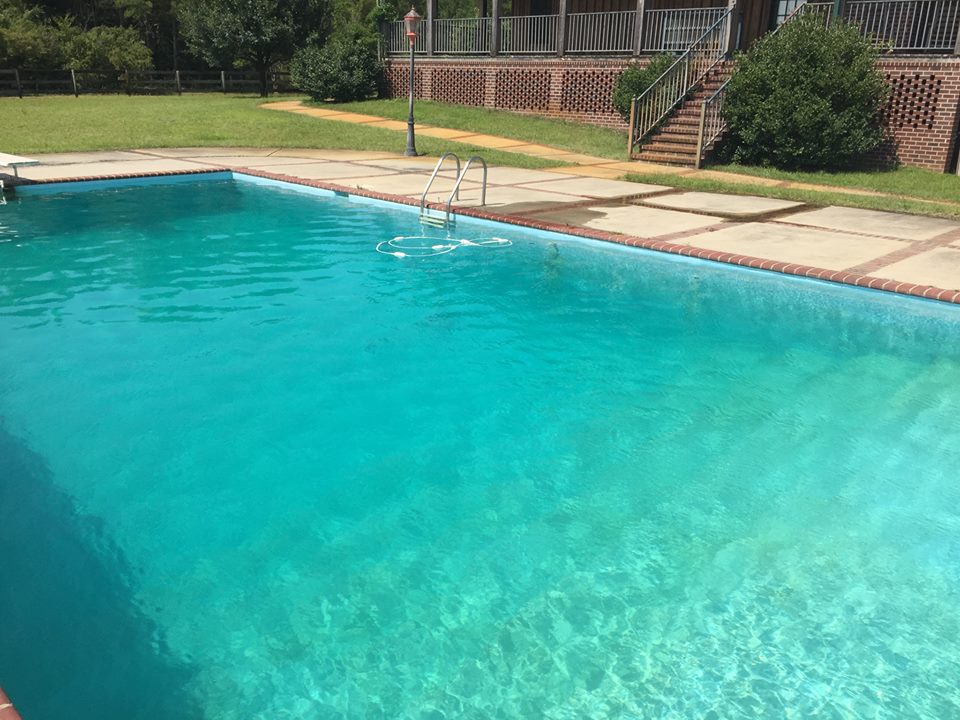 lodgeswimmingpool Gum Log Plantation