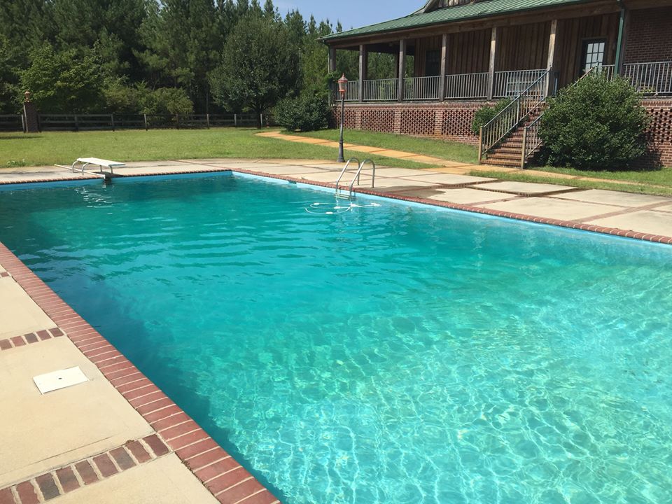 lodgeswimmingpool3 Gum Log Plantation